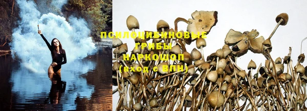 прущие крисы Абинск